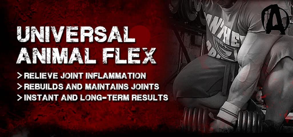 Universal Animal Flex 44 Packs | Supplement City | ligaments and tendons Universal Animal Flex 44 Packs | Supplement City | ligaments and tendons