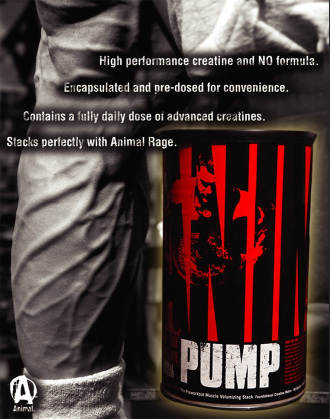 Universal Animal Pump 30 Packs Pre Workout Supplement City