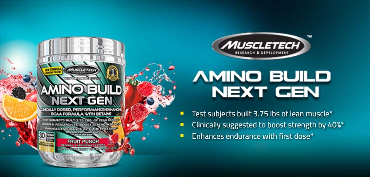 amino-build-next-gen banner - Supplement City