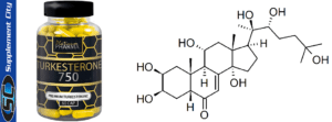 Platinum Pharma Turkesterone 750