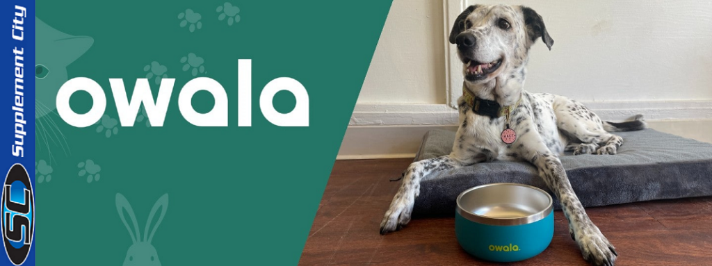 Owala Pet Bowl